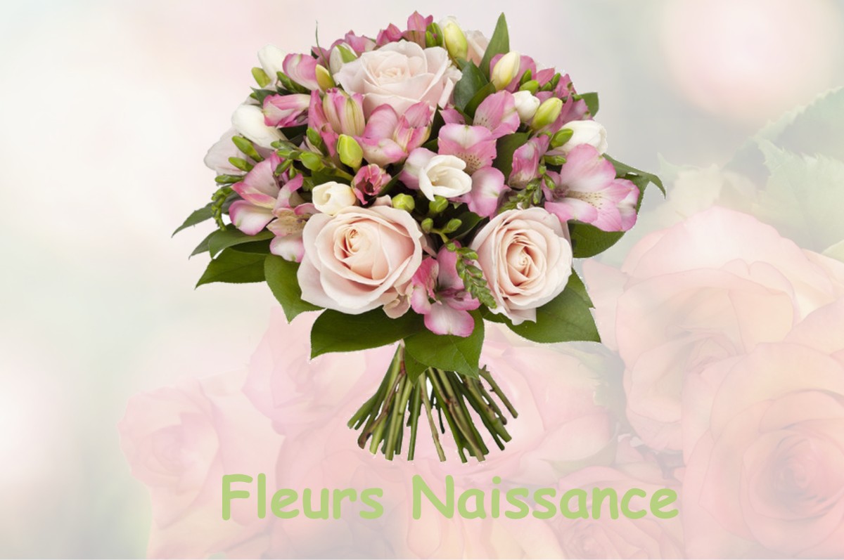 fleurs naissance GIEN