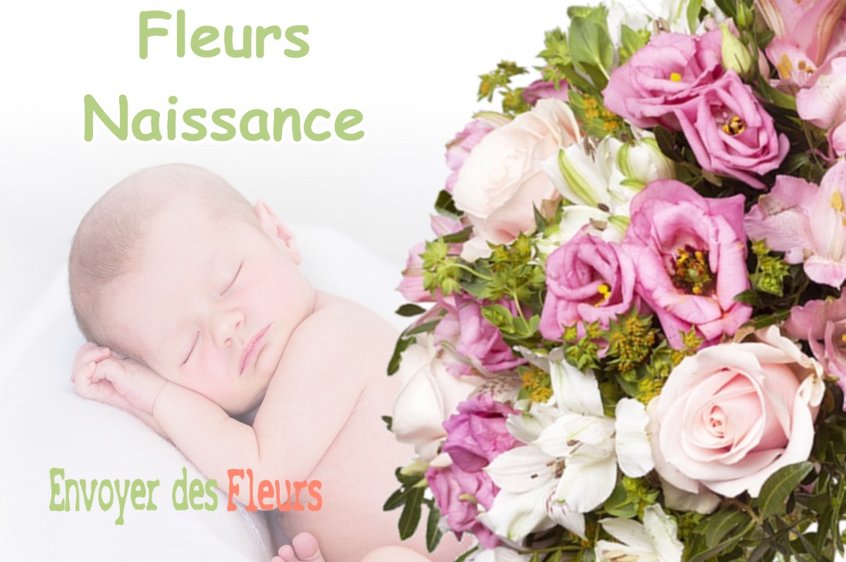 lIVRAISON FLEURS NAISSANCE à GIEN